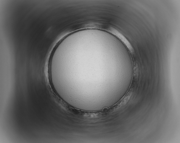 X0000102271051200808081437