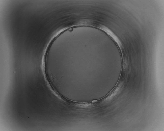 X0000102271053200808081437