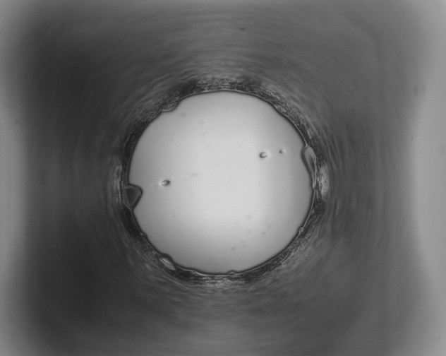 X0000102271059200808081436