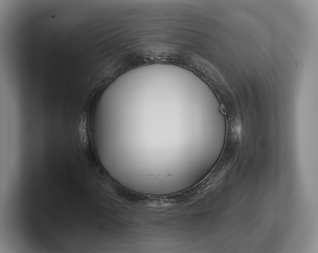 X0000102271060200808081436