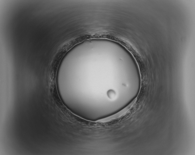 X0000102271063200808081436