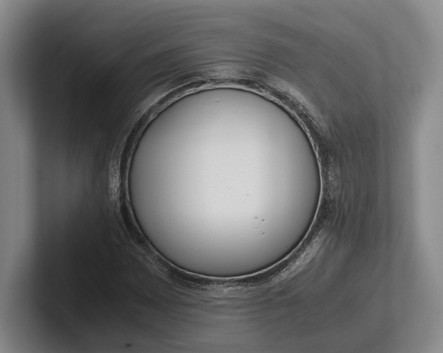 X0000102271065200808081436