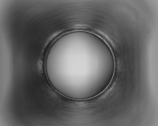 X0000102271066200808081436