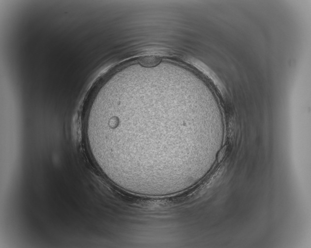 X0000102271067200808081436