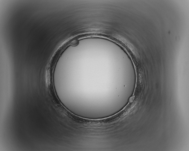 X0000102271069200808081436