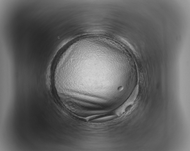 X0000102271071200808081436