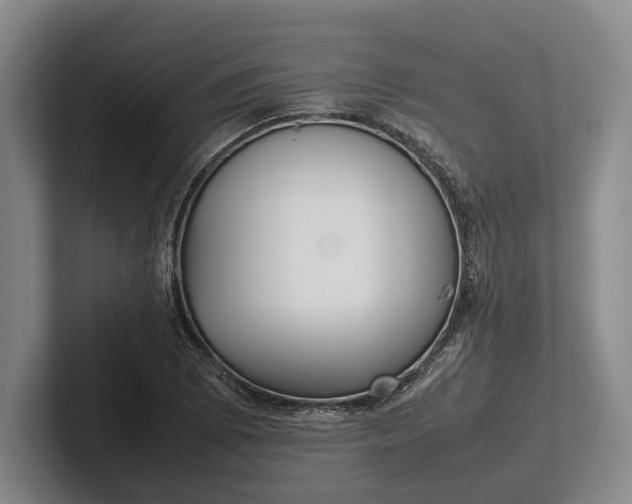 X0000102271073200808081436