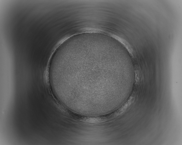 X0000102271074200808081436