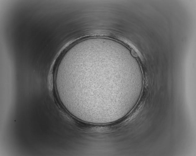 X0000102271075200808081436