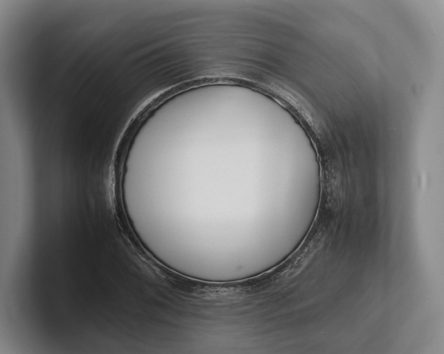 X0000102271076200808081436