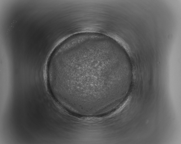 X0000102271077200808081436