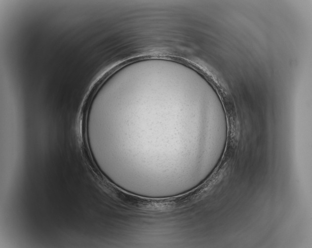 X0000102271078200808081436