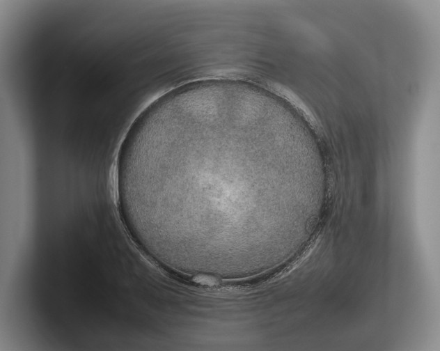 X0000102271079200808081436