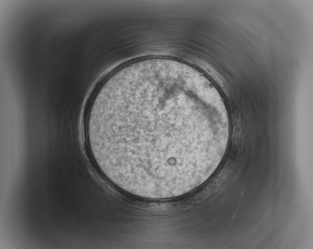 X0000102271080200808081436