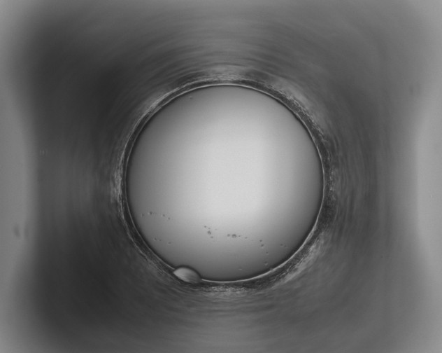 X0000102271081200808081436