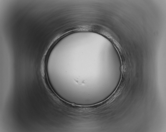 X0000102271083200808081436