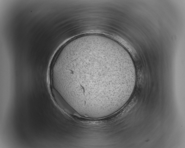 X0000102271084200808081436