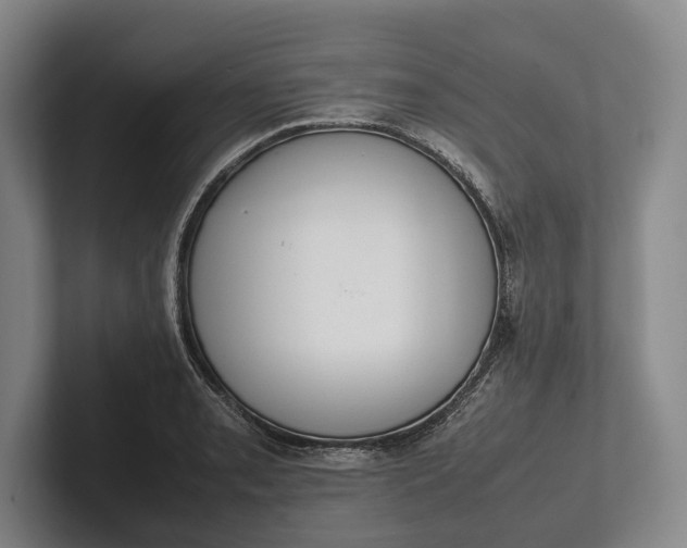 X0000102271085200808081436