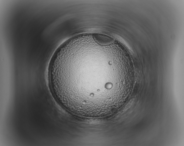 X0000102271087200808081435