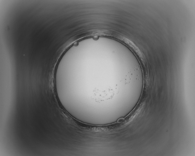 X0000102271089200808081435