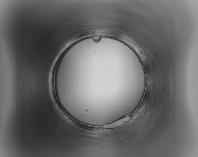 X0000102271091200808081435