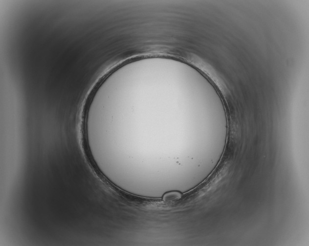 X0000102271093200808081435