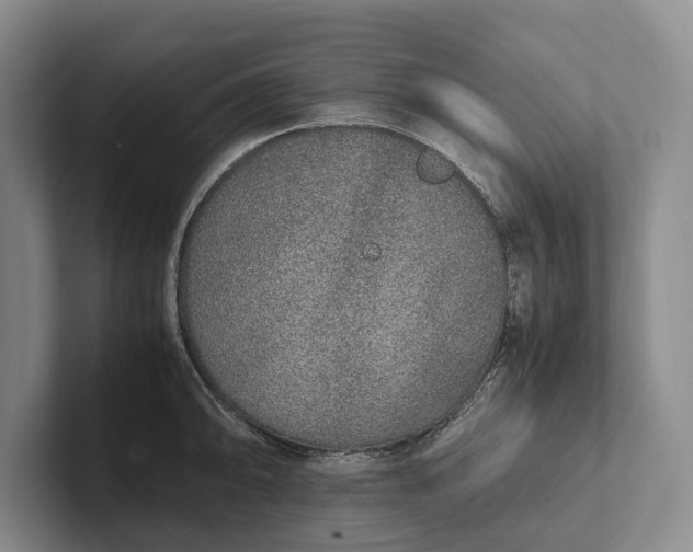 X0000102271094200808081435