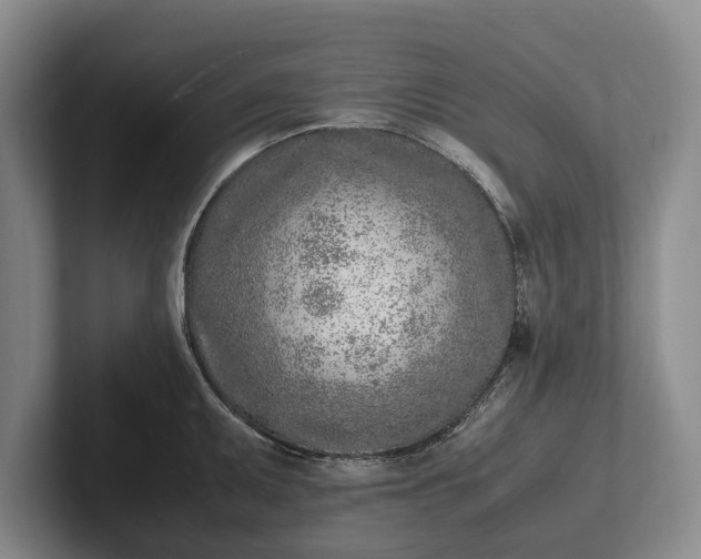 X0000102271095200808081435