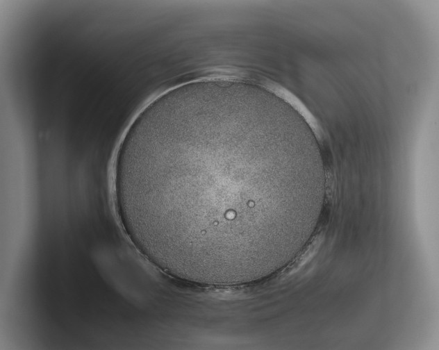 X0000102271099200808081435