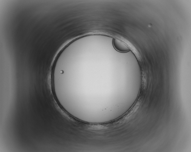 X0000102271100200808081435