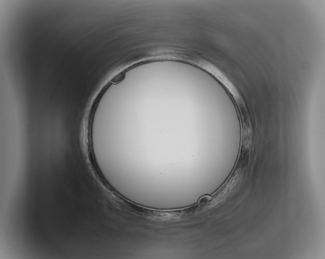 X0000102271101200808081435