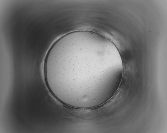 X0000102271103200808081435