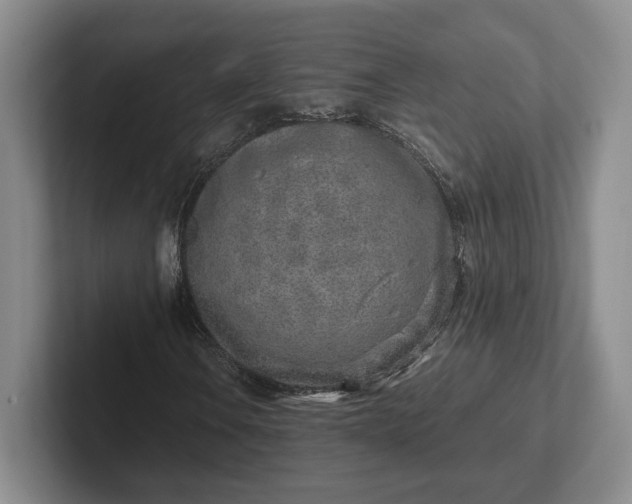 X0000102271106200808081435