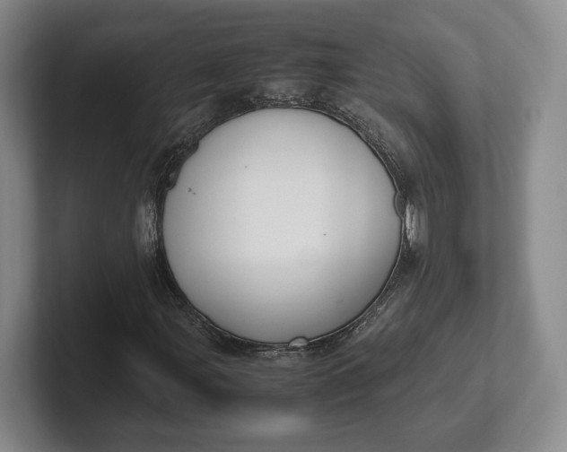 X0000102271107200808081435