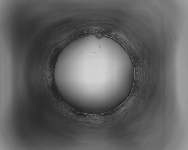 X0000102271109200808081435