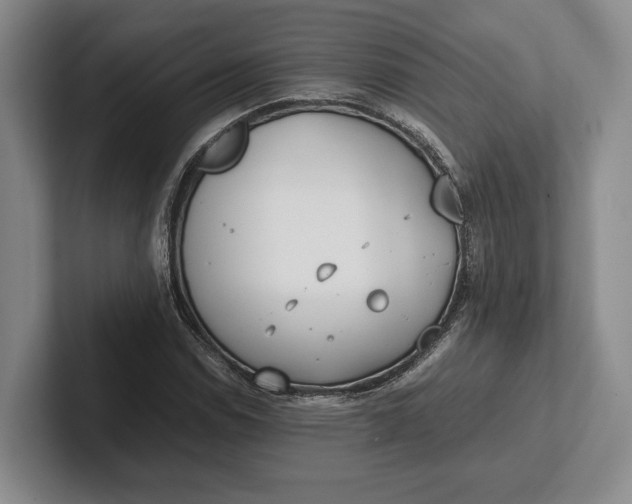 X0000102271114200808081435