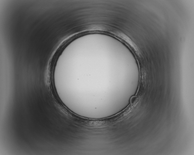 X0000102271116200808081435