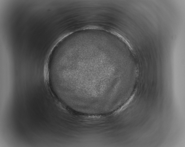 X0000102271117200808081435