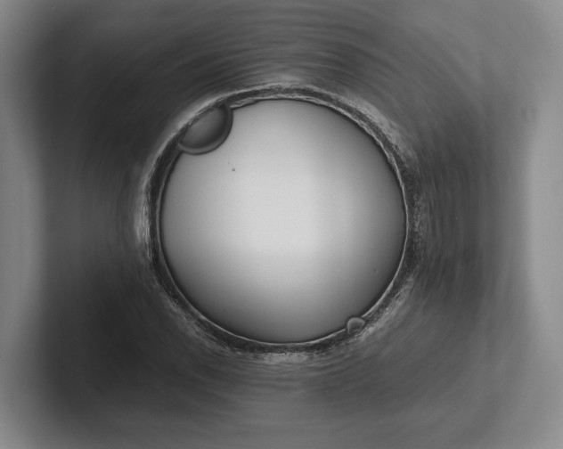 X0000102271118200808081435