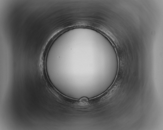 X0000102271119200808081435