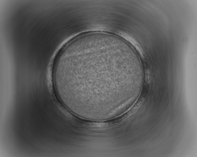 X0000102271120200808081435