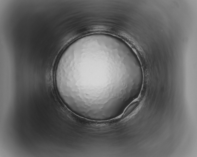 X0000102271121200808081435