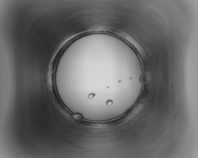 X0000102271124200808081435