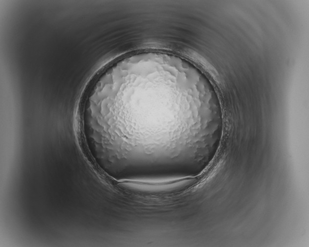 X0000102271125200808081435