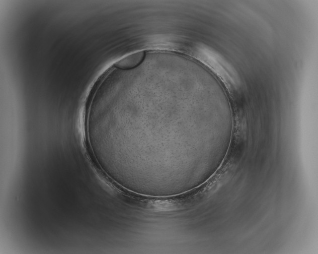 X0000102271128200808081435