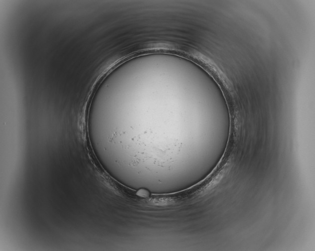 X0000102271129200808081435