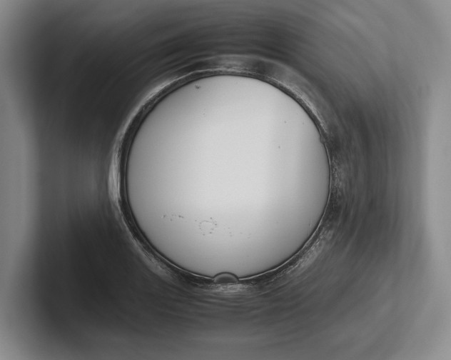 X0000102271131200808081435