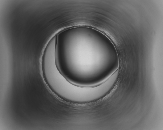 X0000102271134200808081435