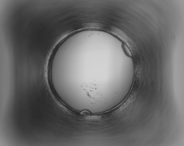 X0000102271135200808081435