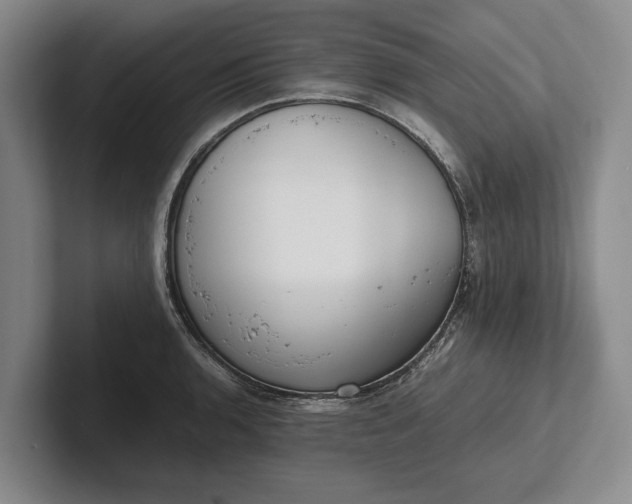 X0000102271136200808081435